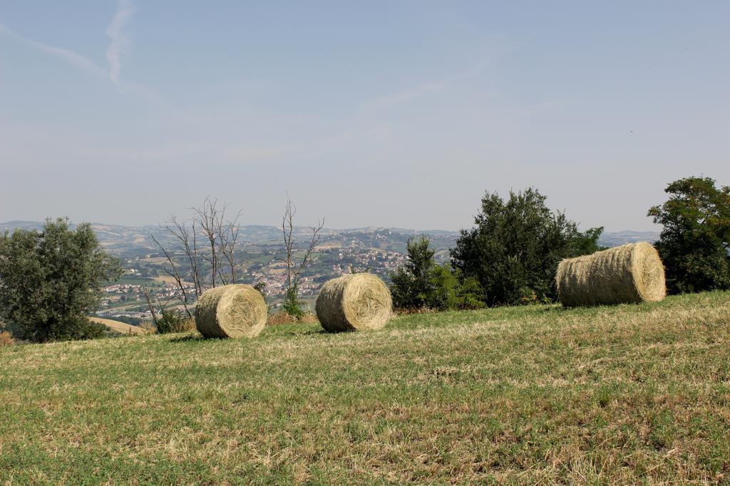 B&B Verdi Colline Controguerra Dış mekan fotoğraf