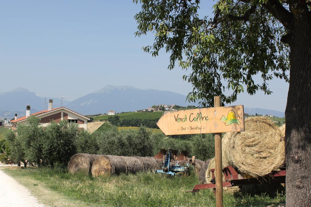 B&B Verdi Colline Controguerra Dış mekan fotoğraf